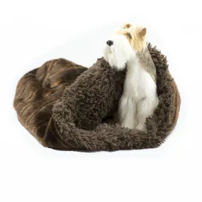 Chocolate Sable with Chocolate Shag Cuddle Cup